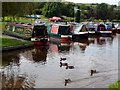 Ducks and barges on the Peak Forest Canal