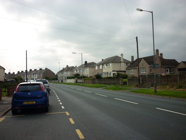 Houses on Salterbeck Road