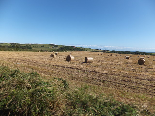 Hay bales on a sunny afternoon
