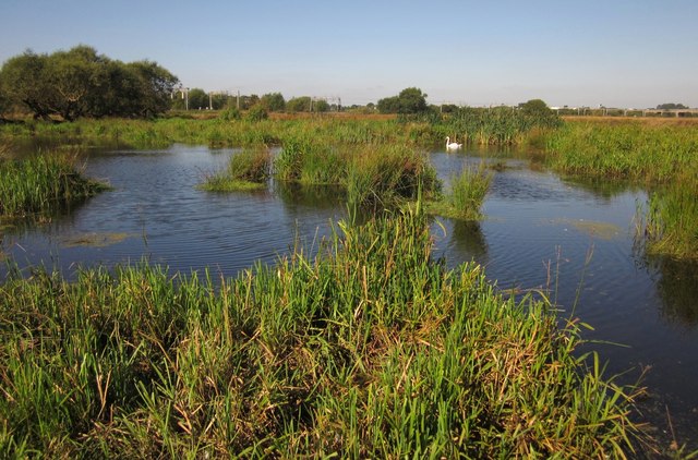 Doxey Marshes © Derek Harper cc-by-sa/2.0 :: Geograph Britain and Ireland