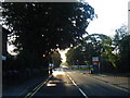 Upper Hale Road at Bishops Road junction