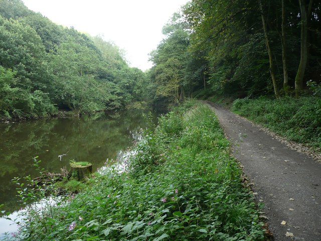 Driveway alongside the River Aire, Bingley
