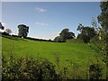 Valley of the Stocking Brook