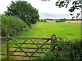 ST9294 : View S along Monarch's Way path by Nick Smith