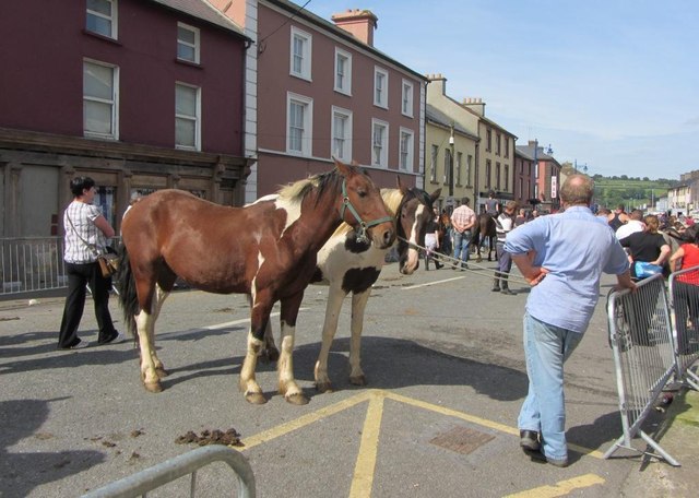 Ponies at Tallow Horse Fair, Barrack Street, Tallow