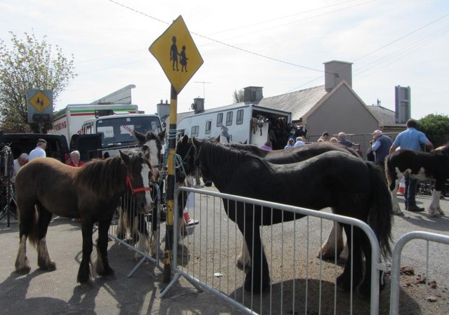 Tallow Horse Fair, Barrack Street, Tallow