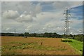 Salisbury District : Grassy Field & Pylons