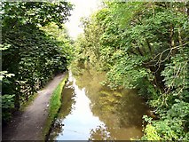 SJ9395 : Peak Forest Canal by Gerald England