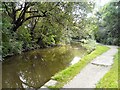 Bend in the Peak Forest Canal