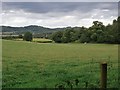 View north-east from Raby