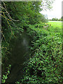 SU0996 : Ampney Brook from the road bridge by Nick Smith