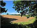 Field by Church Road