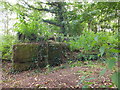 Ruined sandstone structure near Lee Brockhurst