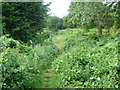 Two long distance footpaths are here