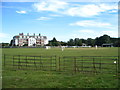 Cricket match, Balmer Lawn