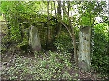 SE0026 : Ruin at Falling Royd by Humphrey Bolton