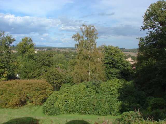 View from the rotunda