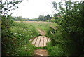 TQ0441 : Footbridge by Smithwood Common by N Chadwick