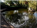 Lingfield - Gun Pond