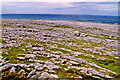M1512 : The Burren - R477 - Black Head - Burren Landscape & Atlantic Ocean by Suzanne Mischyshyn