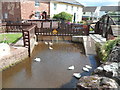 White ducks and a duck crossing, Bishops Lydeard Mill