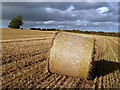 A round bale in a stubble field