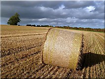 NT7129 : A round bale in a stubble field by Walter Baxter