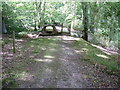 Footbridge on the northern edge of Five Hundred Rough