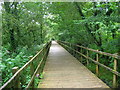 Boardwalk in the woods above Tondu