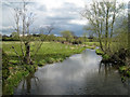 SP2185 : River Blythe, Little Packington, looking south by Robin Stott