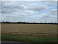 TL1062 : Farmland, Little Staughton by JThomas