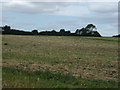 Farmland, West End