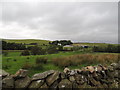 Farmland next to the New Luce Road