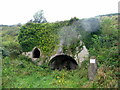 SY9482 : Lime kiln near Church Knowle by E Gammie