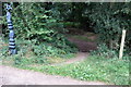 Footpath to Norbury Coppice by Millennium Marker