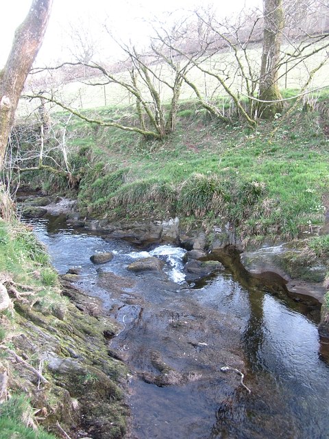 River Exe © Richard Webb :: Geograph Britain and Ireland