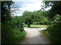 Path on to Croham Hurst Golf Course