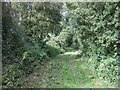 Bridleway near Valbrook Farm