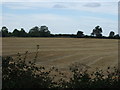 Farmland, High Barn Farm