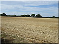 Farmland near Bourne End