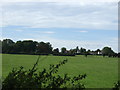 Farmland towards Greenacres