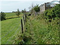 Track near the village church, Locking