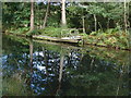 Basingstoke Canal