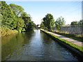 Worcester & Birmingham Canal: South of Bournville