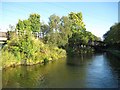 Worcester & Birmingham Canal: Bridge Number 79