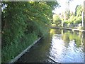 SP0584 : Worcester & Birmingham Canal: Edgbaston by Nigel Cox