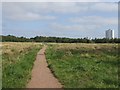 Clayhanger Common