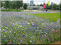 Flowers near the Greenway Gate exit of the Olympic Park