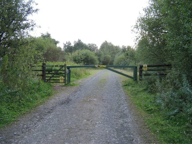 travel track forest gate