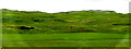 R0988 : Lahinch - R478 - Links Green surrounded by Mogul Type Terrain  by Suzanne Mischyshyn